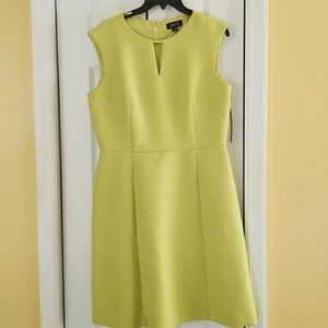Brand New lime green casual dress